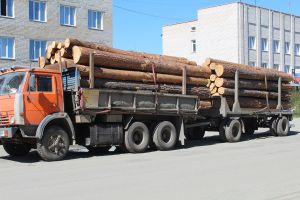 В Еманжелинске задержан лесовоз без документов
