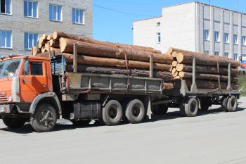 В Еманжелинске задержан лесовоз без документов