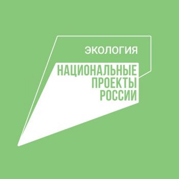 В 11 районах и четырех городах Челябинской области проходит акция «Сохраним лес»