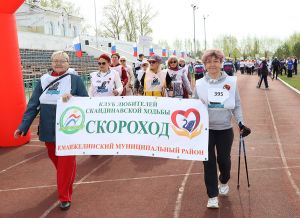 VII областной фестиваль скандинавской ходьбы