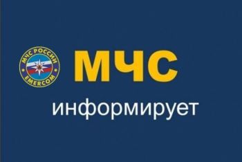 В Еманжелинском районе во время пожаров пострадали два частных дома