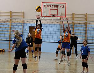 Новогодний открытый турнир по волейболу