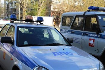 У жительницы Еманжелинского района украли кроликов и садовую косилку