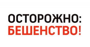 Лабораторно подтвердилось бешенство лисы, которую в середине января в Ключах Еманжелинского района загрызли собаки