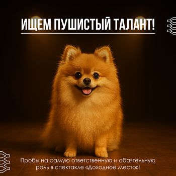 Челябинский театр драмы им. Наума Орлова объявил кастинг собак на роль в спектакле &laquo;Доходное место&raquo;
