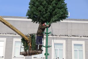 В Еманжелинске устанавливают новогоднюю елку