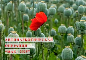 В Еманжелинском районе начался второй этап антинаркотической операции «Мак»
