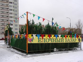 На этой неделе в Еманжелинском районе откроются елочные базары