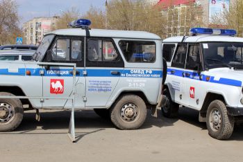 Из еманжелинских садов украли инструментов на сумму более 50 тысяч рублей